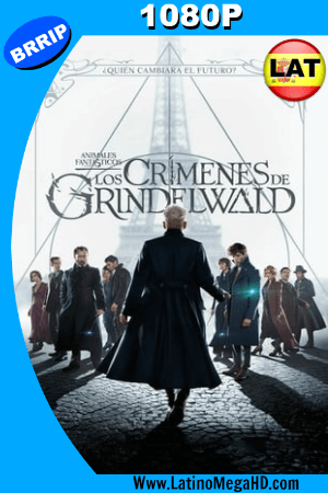 Animales Fantásticos: Los Crímenes de Grindelwald (2018) Latino HD 1080P ()